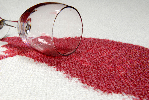 Basement Water Damage Restoration in Denver