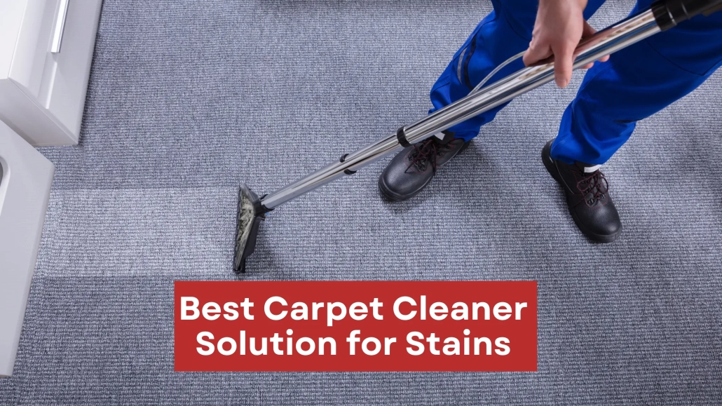 Best Carpet Repair Services Near You- Carpet and Upholstery Stain Cleaning Near Me