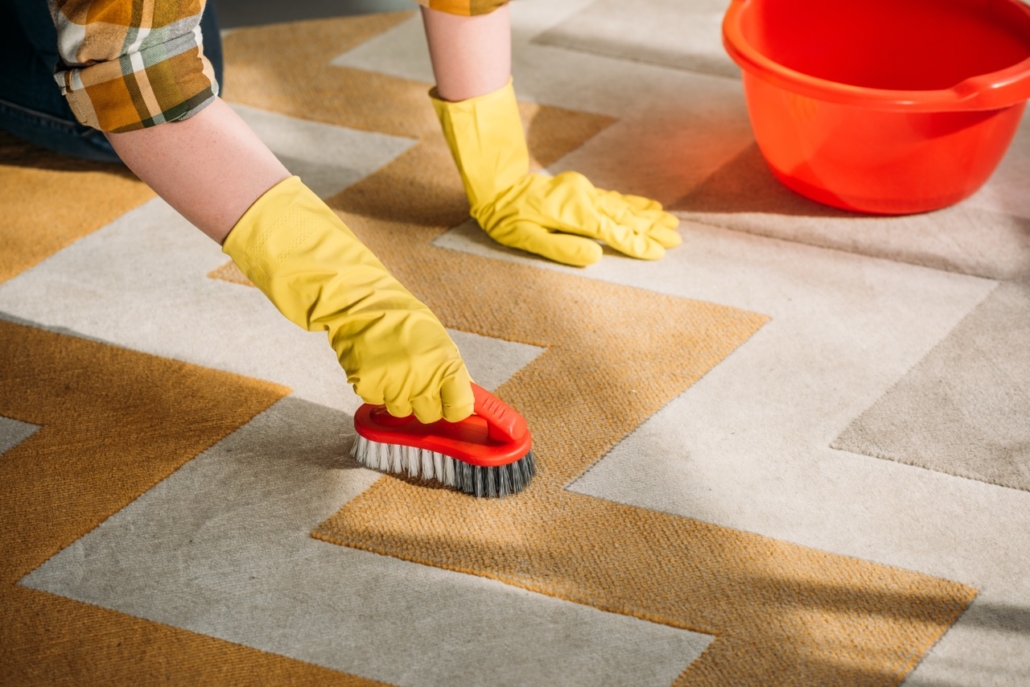 Carpet Cleaning Services Near You Prices